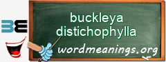 WordMeaning blackboard for buckleya distichophylla